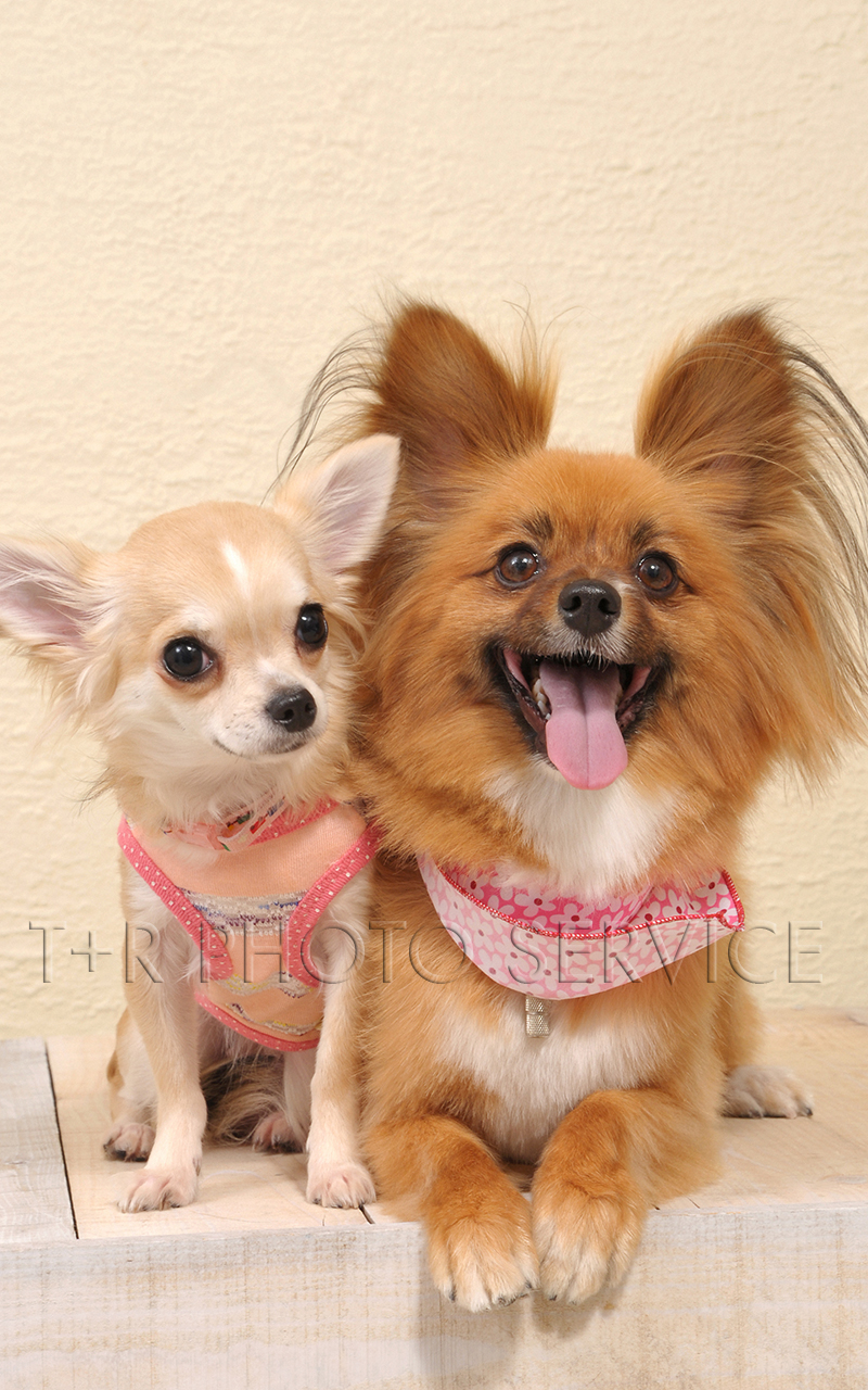 34bf1a7cb9f2a81e77d02f90b9f857a8