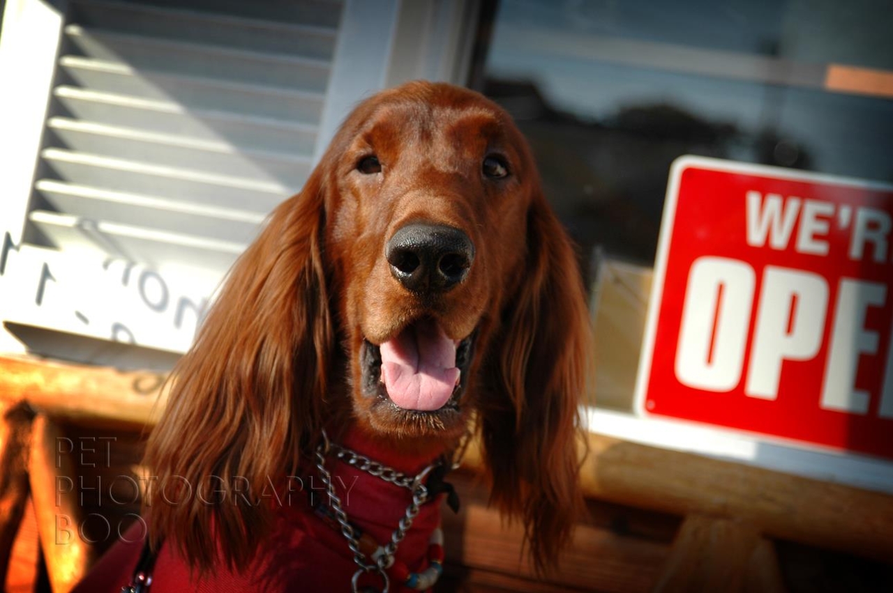 472480_403976429701313_1411252880_o1