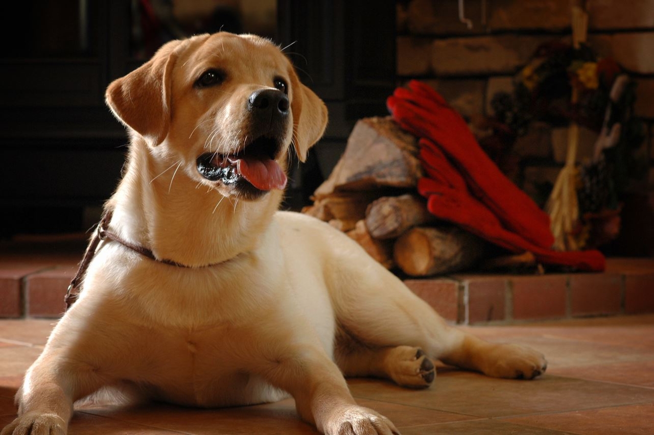 615045_318581858283965_1096098871_o